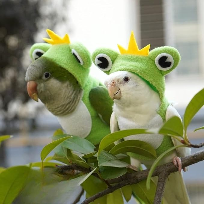Bird Costume Diaper Flight Suit Frog Shape Hoodie Clothes Cosplay Photo Prop for Parrots Parakeet Cockatiel Sun Conure, Small Animals Apparel (Green Without Diaper, Large), (BPF1)