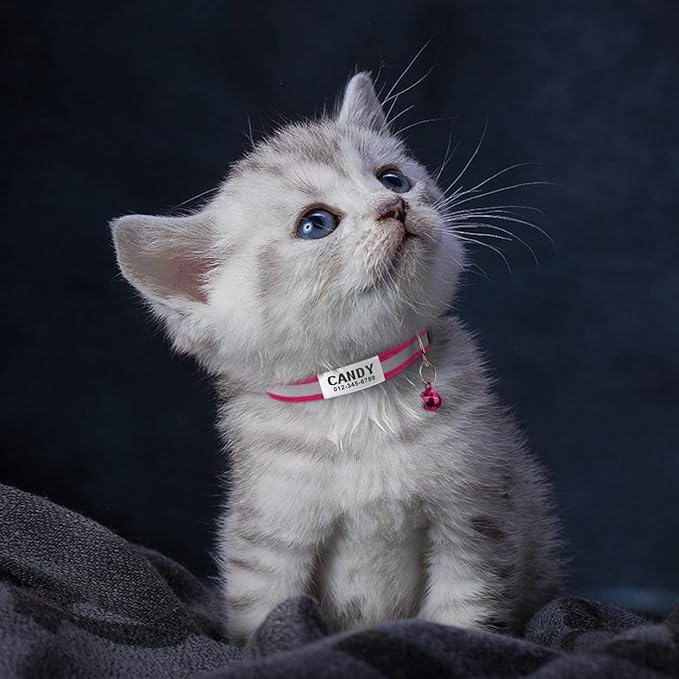 TagME 2 Pack Cat Collar with Name Tag, Personalized Reflective Cat Collar Breakaway with Bell for Boy & Girl Kitten, Hot Pink