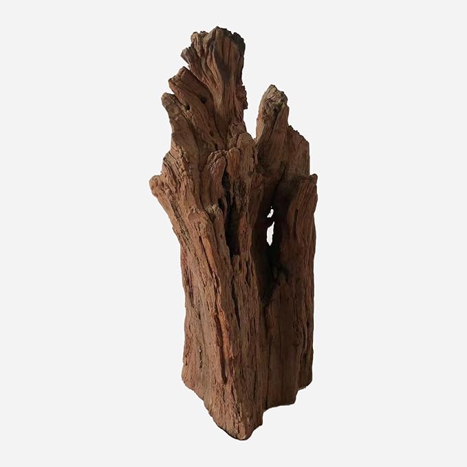 Natural Driftwood for Aquarium Decor, L8.66×W6.69×H15.75 Inches Large Drift Wood Decorations for Reptile Hide, Fish Tank, Optional Shapes