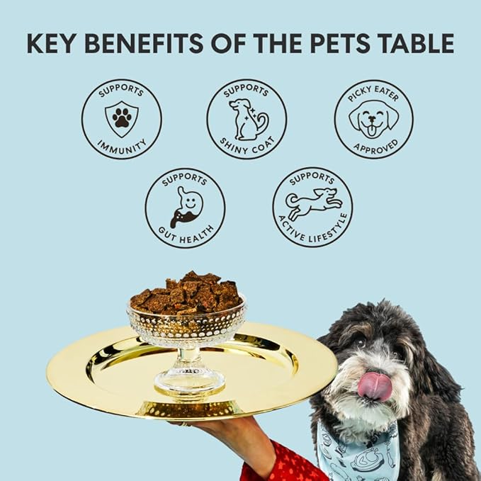 The Pets Table Air Dried Grain Free Dog Food for Dogs Large, Medium and Small | Puppy Dog Food, Adult Dog Food, Senior Dog Food | Salmon & Whitefish with Pumpkin 4.5 lbs / 72 oz Bag