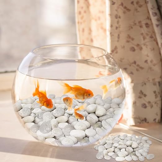 20Ibs White River Rocks, Premium 1-2 Inch River Pebbles for Indoor and Outdoor Landscaping, Perfect for Indoor Plants, Aquariums, Vases, and Garden Decoration
