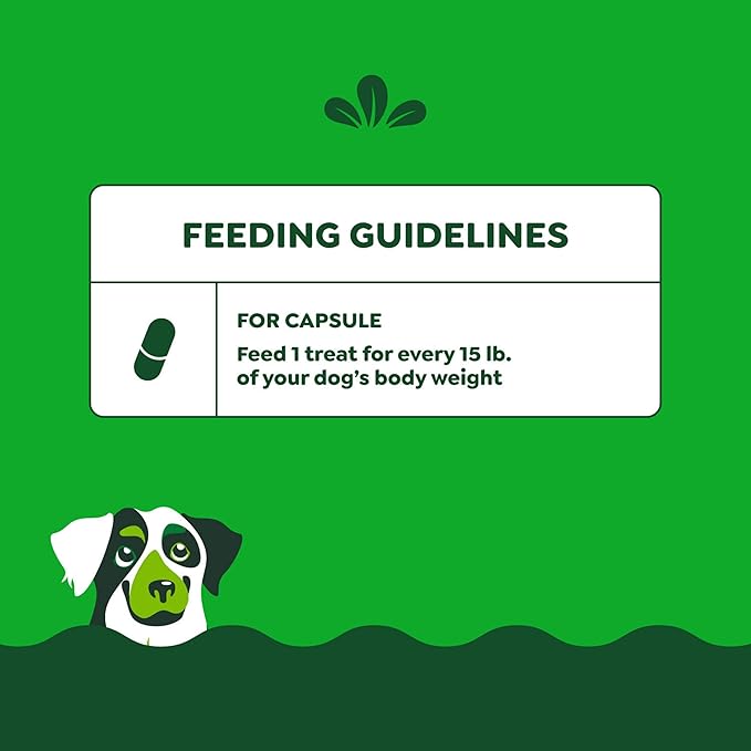 Greenies Pill Pockets for Dogs Large Size, Soft Dog Treats, Cheese Flavor, 7.9 oz. Pouch (30 Treats)