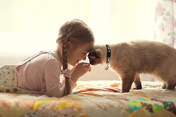 2PCS Breakaway Cat Collars with Bell Cute Kitty Glow in The Dark Adjustable Kitten Collars 7.9-13.0 Inch(Orange&Black)