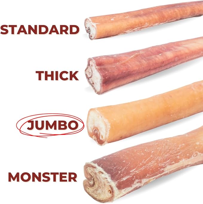 Bully Bunches All Natural Jumbo 12 Inch Bully Sticks – Odour Free, Rawhide Free, Chemical Free – Safe, Long Lasting Thick Beef Dog Chew Gnaws – Fully Digestible Treat for Medium and Large Dogs, 5 Pk