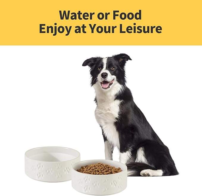 Ceramic Dog Bowl Set with Anti-Slip Rings for Medium Breed Dogs, 7.3" Food and Water Bowls, Pet Dishes for Medium-Sized Dogs (Double Bowls - White, 7.3 inch)