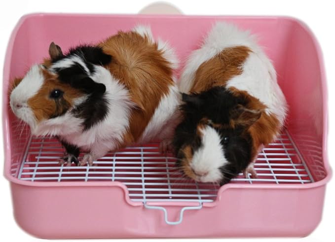 Rat Small Litter Box, 10"x8" Square Corner Litter Box Training Pan with Grid Potty Tray Toilet for Cage Small Animal/Rabbit/Guinea Pig/Bunny/Ferret (Blue)