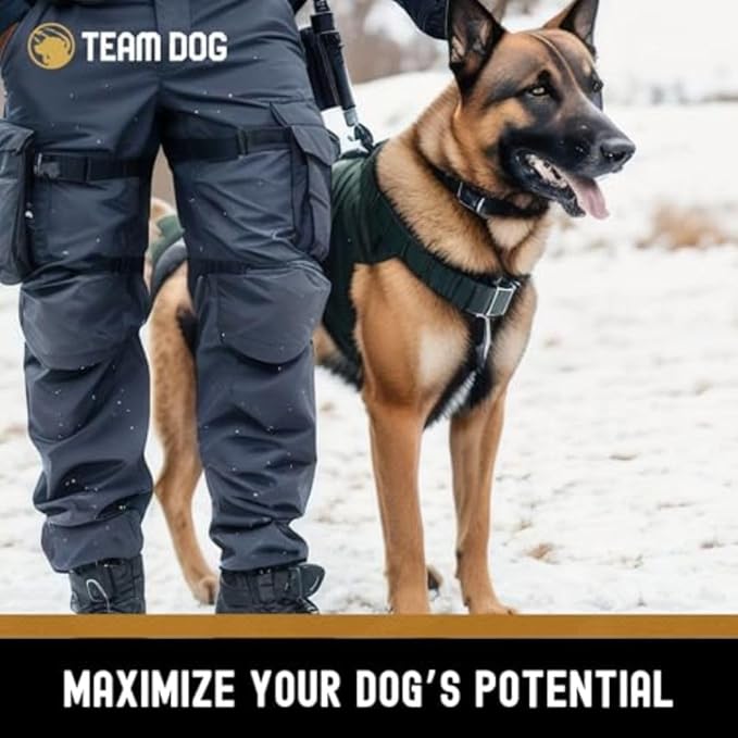 Team Dog Raw Frozen Dog Food | 65% Beef Muscle, Organ Meats, Herring & Green Tripe | All Natural Grain Free Dog Food for Optimal Health, Digestion & Coat | 24 x 1lb Rolls