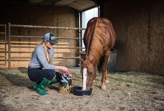 Horse Guard Trifecta 10 lb, 4 Equine Vitamin Minerals in 1 Complete Supplement