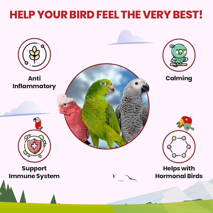 Parrot Tea 3oz - Parakeet & Cockatiel Food Vitamin Substitute - Bird Health Supplies - Bird Food Topper