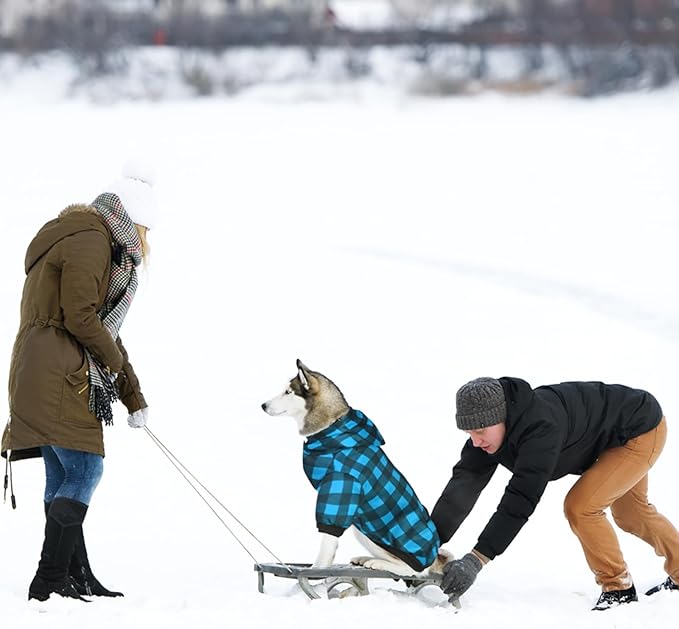 GreenJoy Plaid Dog Sweaters Hoodies Sweatshirts for Dogs Cats, Warm and Soft Cold Weater Coats for Christmas (Blue, X-Small)