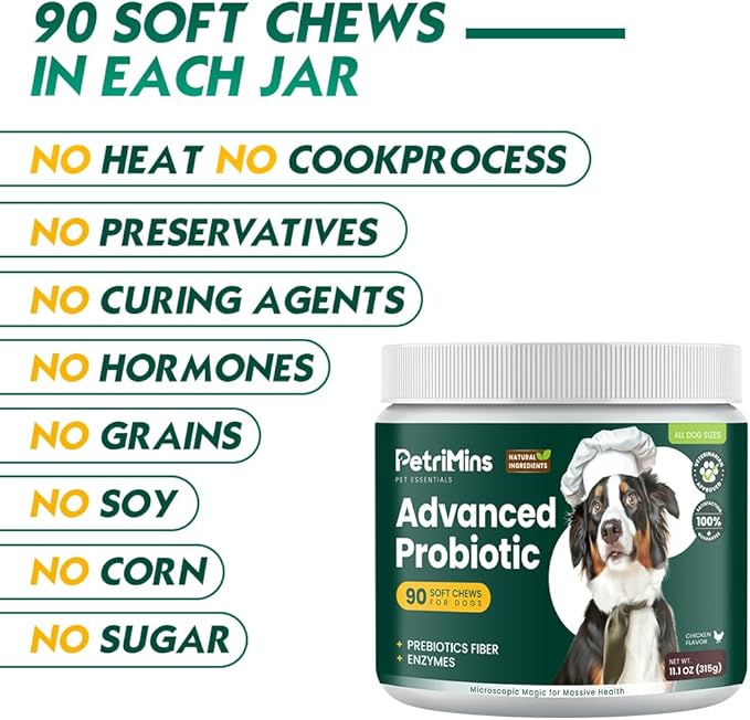 Advanced Probiotic for Dogs, Supports Digestive Health, Immune Health, Gut Health, Improves Nutrient Absorption - Six Strains of Probiotics - Inulin - Enzyme Blend, 90-Count, Chicken