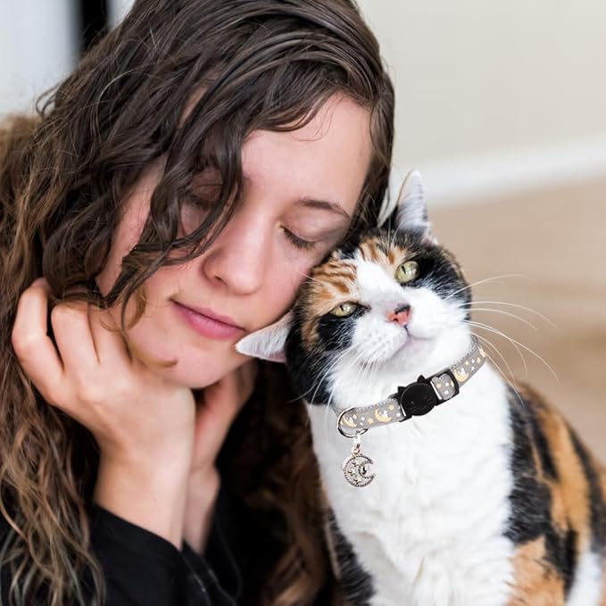 2Pcs Breakaway Cats Collars Cat Collars for Boy & Girl Cats Adjustable Kitten Collars with Bell,Black+Gray,8"-13.1"