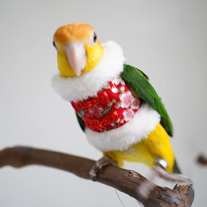 Bird Costume Bird Flight Suit Bird Clothes Cosplay Photo Prop for Parrots Parakeet Cockatiel Sun Conure, Bird Hoodie Small Animals Apparel (Black, Large)