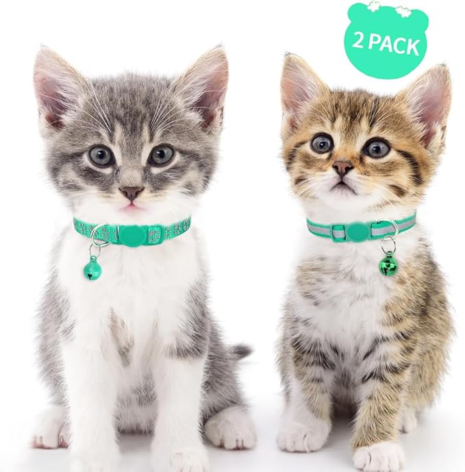 Taglory Kitten Collar Breakaway with Bell, 2 Pack Girl Boy Pet Kitten Collar Adjustable 6-8 Inch for 2-6 Months Cat, Turquoise