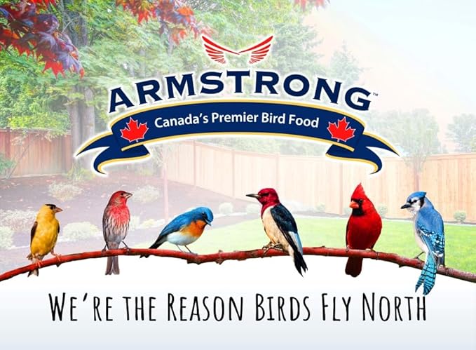 Armstrong Wild Bird Food Black Oil Sunflower Bird Seed, 15.4 Pounds - for Northern Cardinals, Blue Jays and Hairy Woodpeckers - Ideal for Outside Feeders