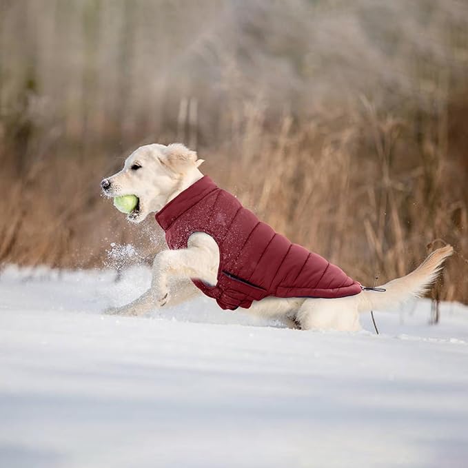 Lelepet Reversible Dog Coat Warm Dog Winter Jacket Padded Vest Windproof Lightweight Cold Weather Coat Pet Sonwsuit with Hook & Loop Coats for Medium Dogs, Non-Shedding, Easy on/Off, Pug, Wine Red, M