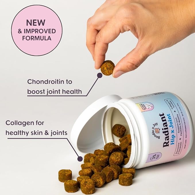 Radiant Hip and Joint Support Supplement for Dogs, 90 Soft Chews, Glucosamine Chondroitin for Dogs with Collagen, Turmeric, MSM, Colostrum, Helps Support Mobility and Flexibility