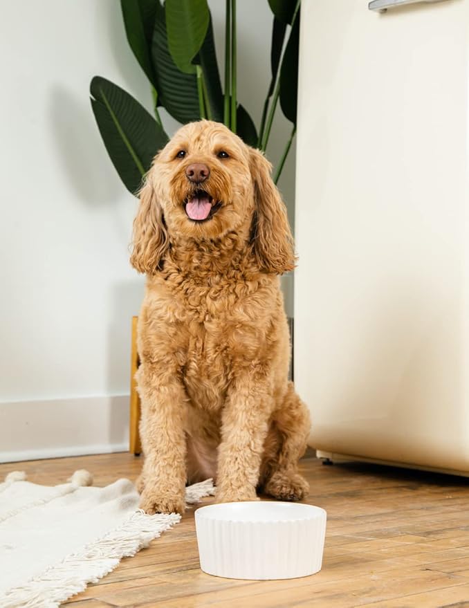 Waggo Ripple Ceramic Dog Bowl for Medium and Large Breeds - Modern with Matte Finish, Heavyweight Durable Pet Food and Water Dish Crock, Dishwasher Safe (Large, Teal)