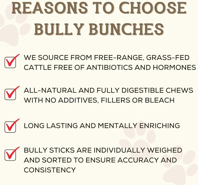 Bully Bunches Premium 12 Inch Standard Odor-Free Bully Sticks for Small & Medium Dogs - Long Lasting Chew Bones - All Natural & Single Ingredient, 100% Beef Dog Treat, Rawhide Free (20 Pk)