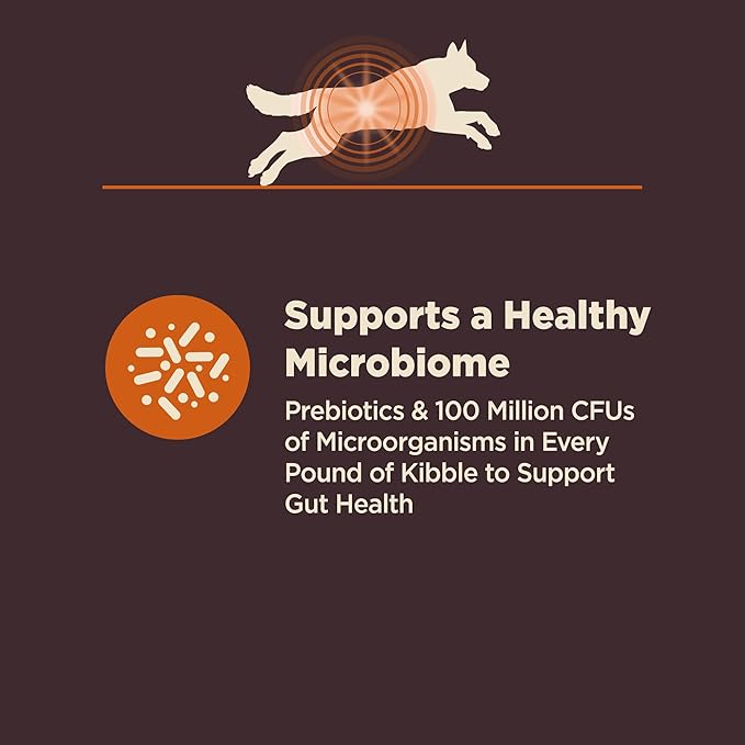 Wellness CORE Digestive Health Dry Dog Food, Wholesome Grains, Natural, Recipe for Dogs with Sensitive Stomachs, Chicken, (4-Pound Bag)