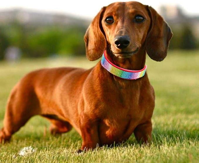 Cute Dog Collar with Bling Rhinestone, Fancy Crystal Diamond Glitter Pretty Jewel Soft Cat Collars for Small Medium Large Breed Dogs Girl Female Pet Puppy Kitten Terrier (XXS, Red3)