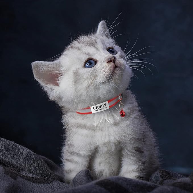 TagME 2 Pack Cat Collar with Name Tag, Personalized Reflective Cat Collar Breakaway with Bell for Boy & Girl Kitten, Red