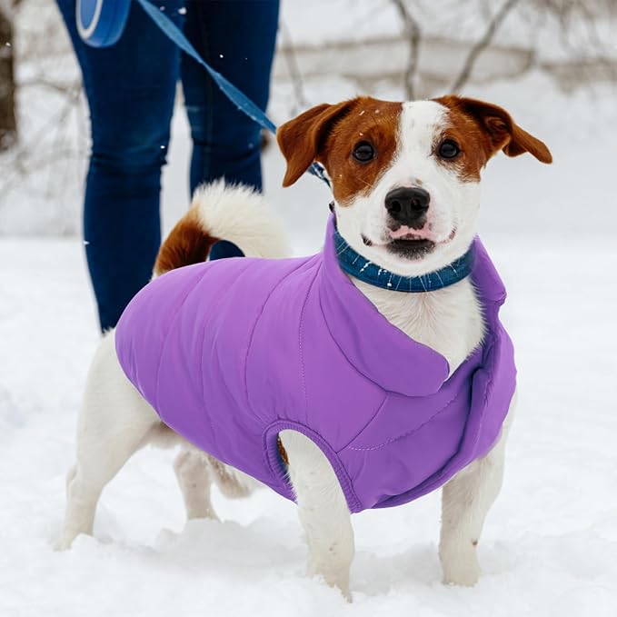 ASENKU Dog Winter Coat - Waterproof Windproof Dog Jacket, Warm Snowproof Doggie Puffer Vest for Cold Weather, Lightweight Snow Coats for Small Medium Large Dogs (Purple, M)