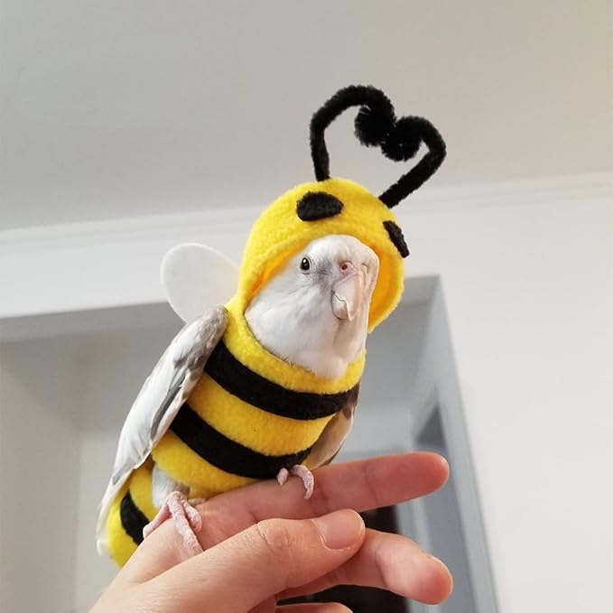 Bird Costume Diaper Flight Suit Bee Shape Hoodie Clothes Cosplay Photo Prop for Parrots Parakeet Cockatiel Sun Conure, Small Animals Apparel (Bee with Diaper, Medium), Green (BPF1)