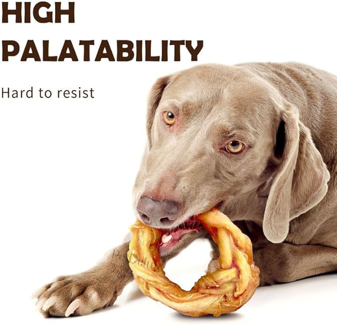 iPaw Turkey Tendon for Dogs, Ingredient Sourced from USA, Hypoallergenic, All Natural Human Grade Puppy Chew, Dog Treats for Signature Series, Rawhide Alternative, 40 Units/Box Ring (Small)