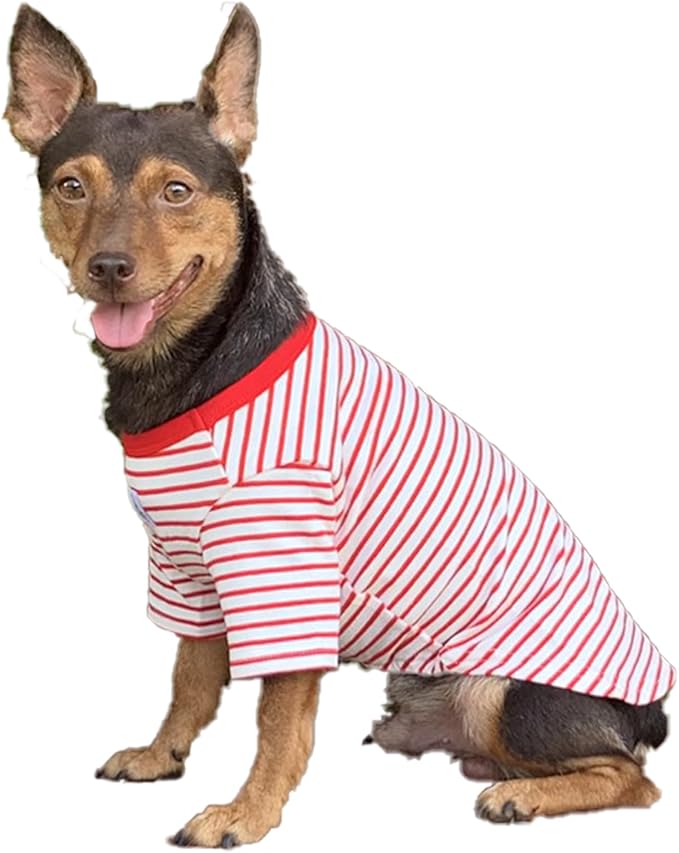 YQYS Pet T-Shirts Thick Striped Cotton Tee Shirt for Small Dogs and Cats Puppy Clothes Apparel Clothing for Teacup Chihuahua Yorkie Poodle Red White XLarge
