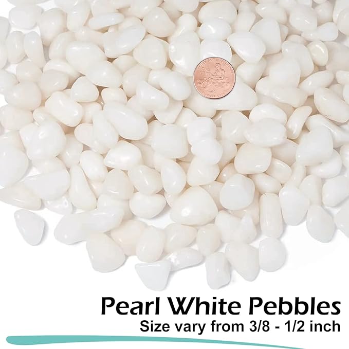 GASPRO 2.5 Pound Pebbles for Indoor Plants, 3/8" Decorative White Rocks for Vases, Planters, Succulents, Highly Polished Aquarium Gravel, Smooth Surface and Fade Resistant