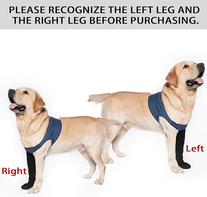 COODEO Dog Socks to Prevent Licking Paws, Healing Boots & Paw Protectors with Non-Slip Bottoms for Wound Protection, Waterproof Sleeve Shoes for Licking(Blue,L_Right