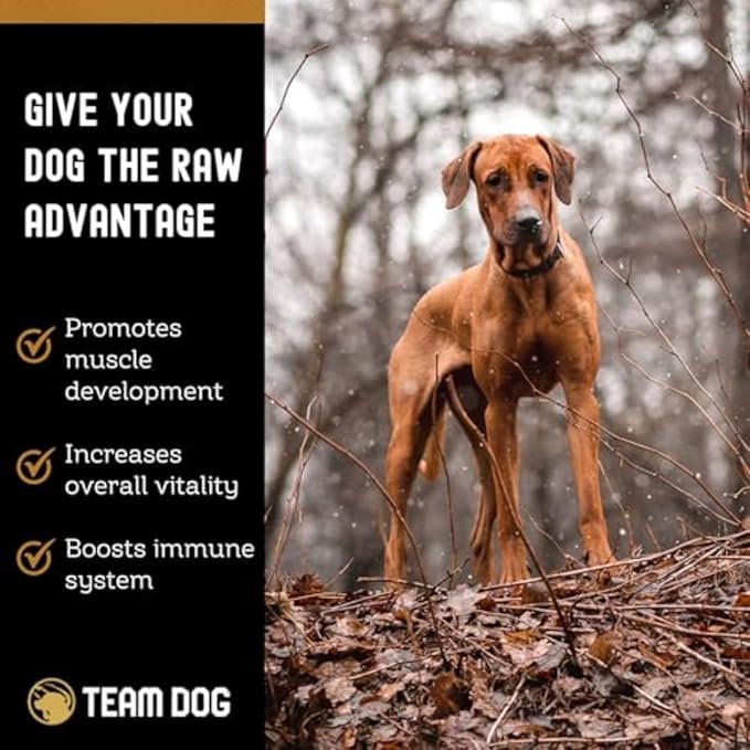 Team Dog Raw Frozen Dog Food | 65% Beef Muscle, Organ Meats, Herring & Green Tripe | All Natural Grain Free Dog Food for Optimal Health, Digestion & Coat | 24 x 1lb Rolls