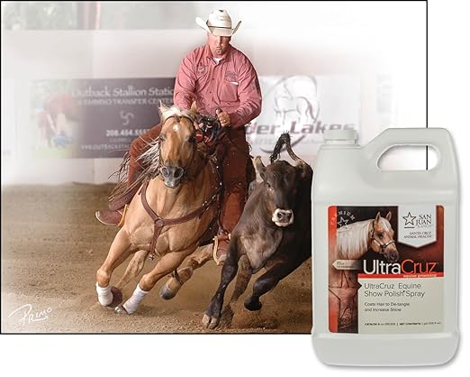 UltraCruz Equine Show Polish® Spray, 1 Gallon