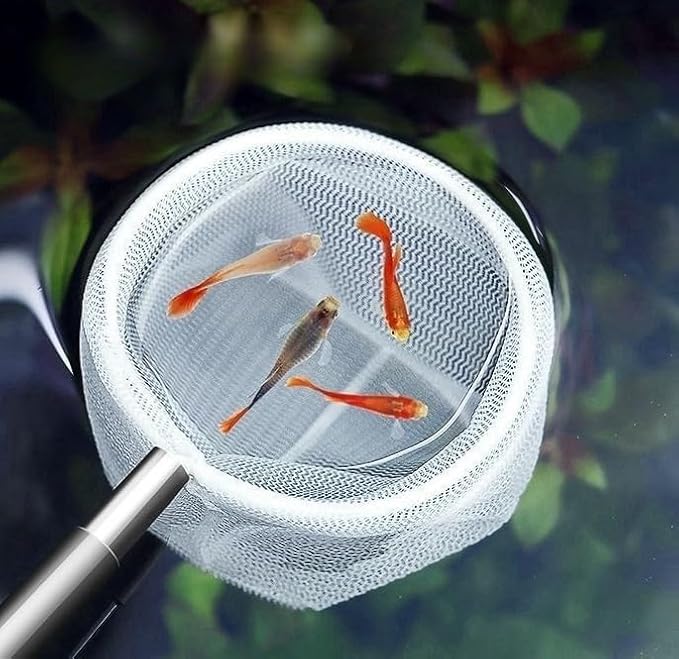 2 Pieces of Aquarium Fishing nets,Fish nets with Handles, Small net for Shrimp and Fish,Shrimp Tank Accessories
