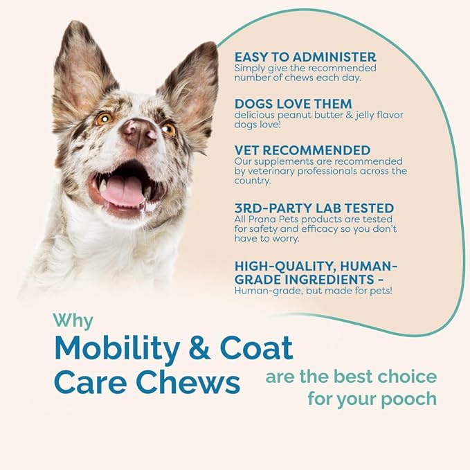 PranaPets Mobility & Coat Care Chews for Dogs & Puppies | Joint Supplement | Skin & Coat Health | Peanut Butter & Jelly Flavor | 90 Soft Chews