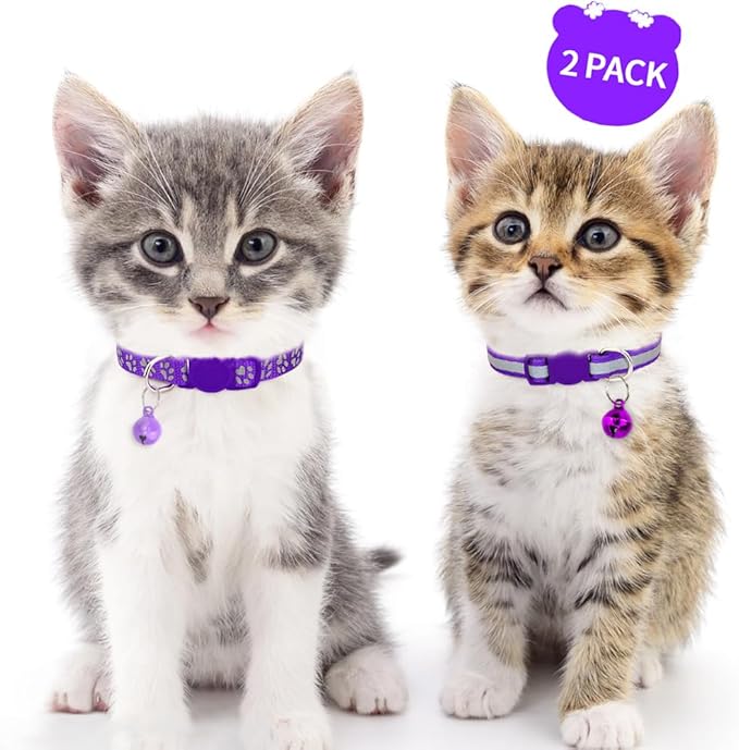 Taglory Kitten Collar Breakaway with Bell, 2 Pack Girl Boy Pet Kitten Collar Adjustable 6-8 Inch for 2-6 Months Cat, Purple