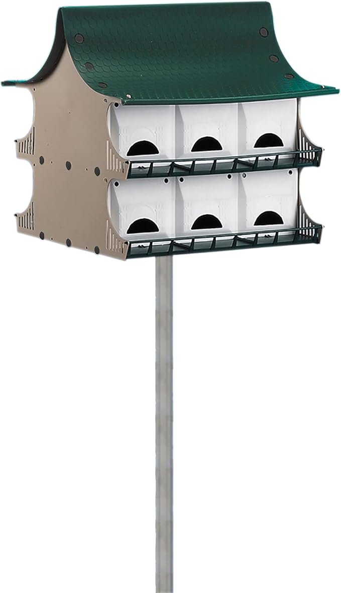 S and K Purple Martin House, 12 Room