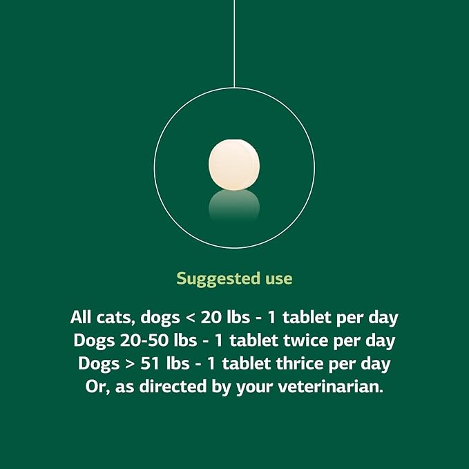 Standard Process Inc. VF Antronex for Pets - Feline & Canine Hepatic Support Formula - Healthy Liver Supplement for Cats & Dogs - Antronex Supplement to Support Healthy Immune System - 90 Tablets