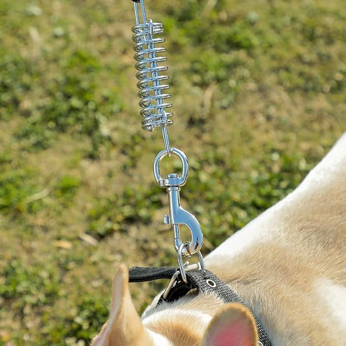 Tie Out Cable for Dog,100FT Dog Leads with Swivel Hook and Shock Spring,Heavy Duty Tie Out Cable for Large Dogs Up to 125lbs,Durable Dogs Runner Tether Line for Outdoor,Yard