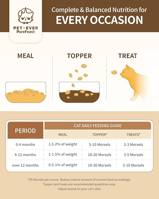 Freeze-Dried Raw Cat Food, 97% Animal Origin Dry Food for Cat, High Protein Treat & Topper (Chicken & Duck - 14 Ounce)