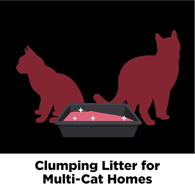 ARM & HAMMER Clump & Seal Platinum, Complete Odor Sealing Clumping Cat Litter, Multi-Cat, 14-Day Odor Control, Online Exclusive Formula, 37 Lbs