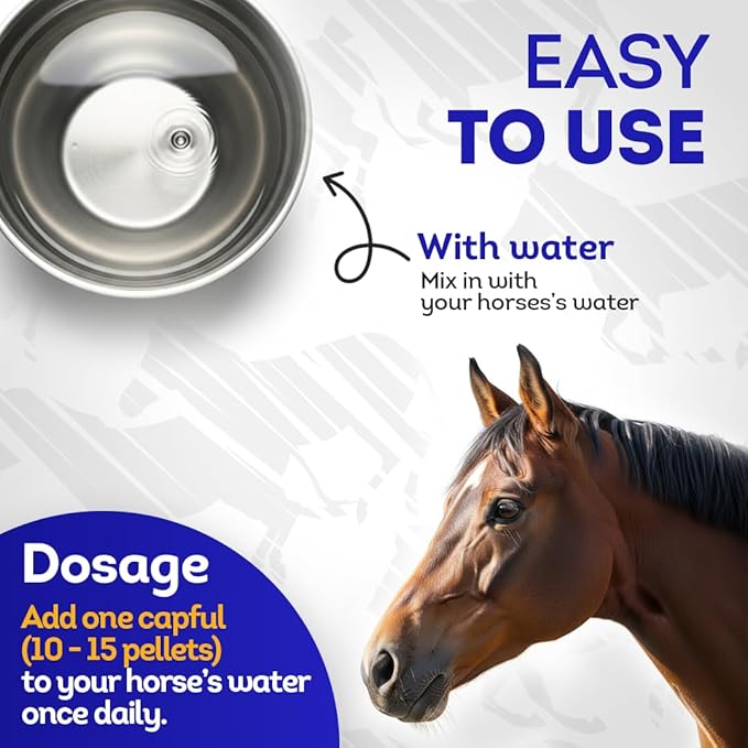 HA4E - Horse Eye Health Support - Maintains Normal Mineral Levels for Healthy Eyes - Highly Effective, Natural Homeopathic Supplement - Pellets, Barn Size (Extra Large)