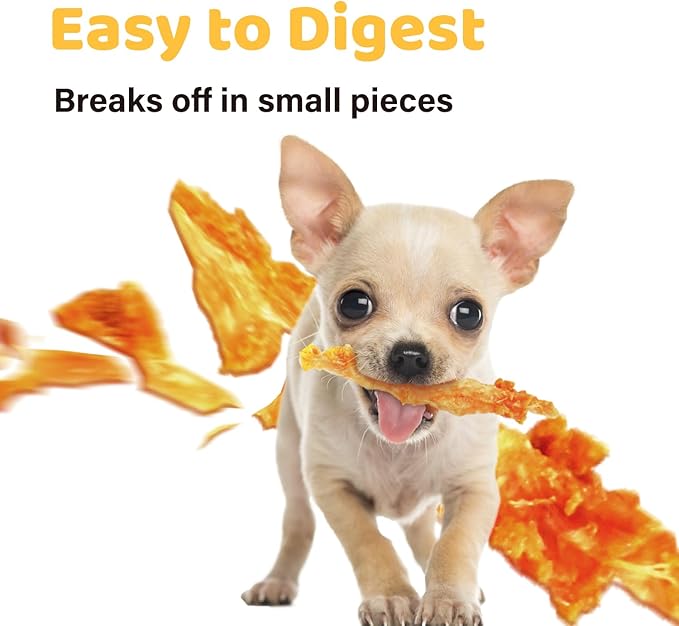 iPaw Turkey Tendon for Dogs, Ingredient Sourced from USA, Hypoallergenic, All Natural Human Grade Puppy Chew, Dog Treats for Signature Series, Rawhide Alternative, 10 Units/Bag Bone (Small)