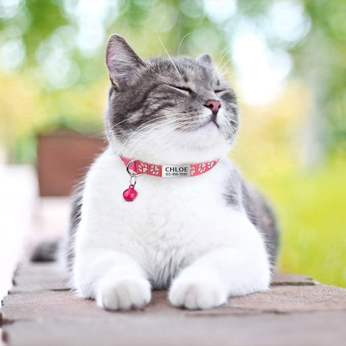 TagME 2 Pack Cat Collar with Name Tag, Personalized Reflective Cat Collar Breakaway with Bell for Boy & Girl Cats, Pink