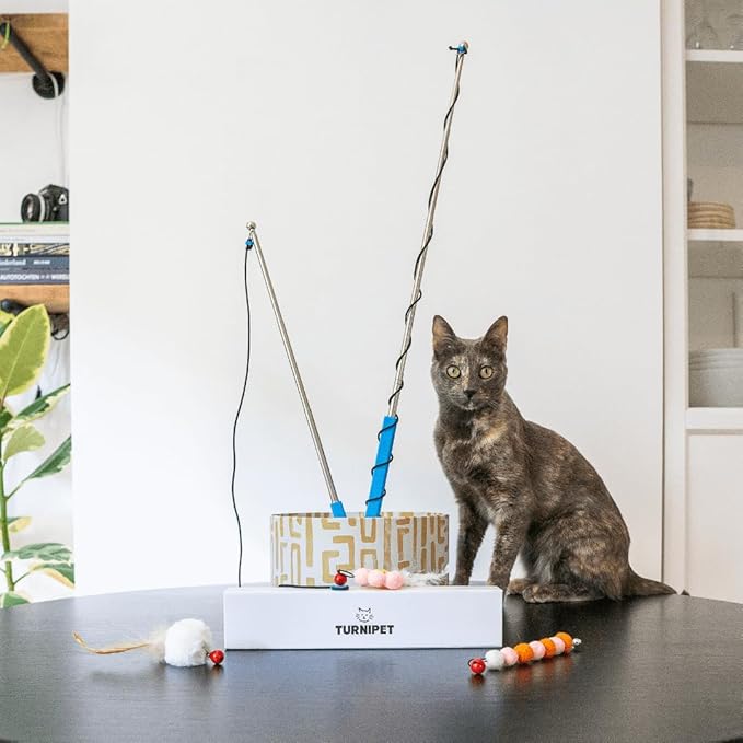 Magnetic Catch Wand (Combo 24" & 40") Cat Toy – Interactive Telescoping Wand for Indoor Cats and Kittens, Magnetic Easy Catch & Release, Durable Enrichment Toy with 3 Lures