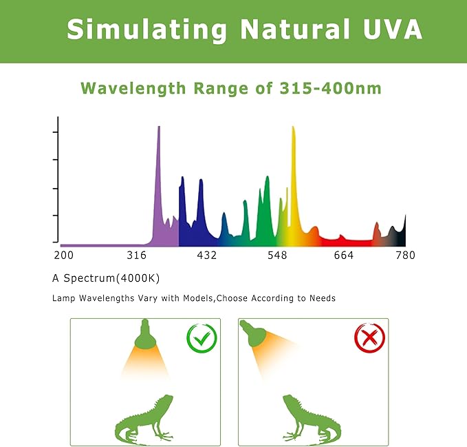 100W E26 Reptile Heat Lamp Bulbs - Upgraded UVA Amphibian Basking Spot Light, Simulated Sunlight for Bearded Dragon, Lizard, Tortoise & Chics, Daylight Bulb for Aquariums and Tanks| 2 Pack