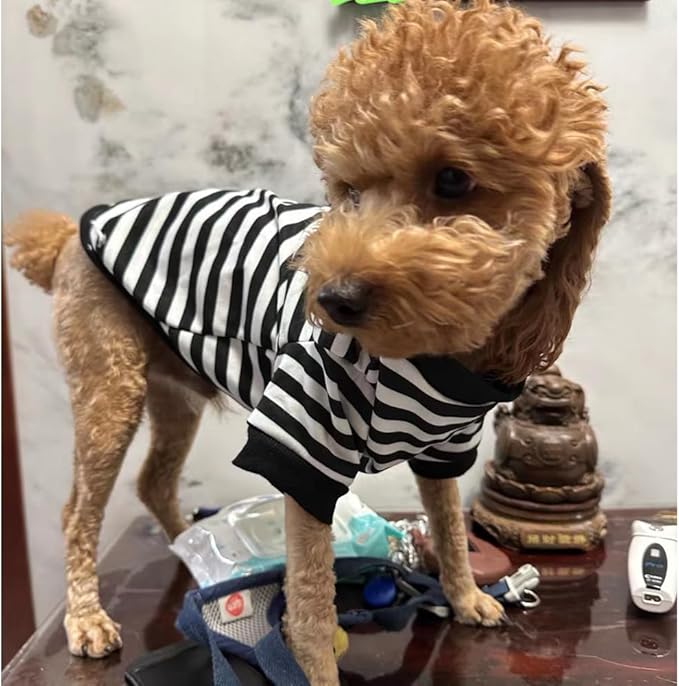 Autumn Dog Hoodies with Leash Ring Warm Striped Puppy Shirt for Small Dog Girl Boy Cat Sweater Winter Pet Clothes Pomeranian Chihuahua Cold Weather Coat (Medium, Black)