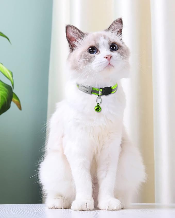 TagME 2 Pack Cat Collar with Name Tag, Personalized Reflective Cat Collar Breakaway with Bell for Boy & Girl Cats, Green
