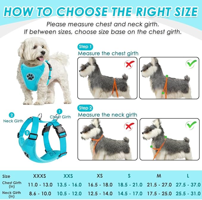 SlowTon Dog Seat Belt Harness for Car, Dog Car Harness Adjustable Mesh Breathable & Dog Seatbelt Safety Tether with Elastic Bungee for Small Medium Large Pets(Light Blue, Double Clip, XXS)